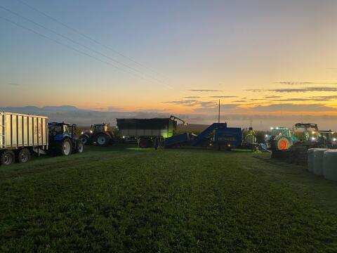 Maissilageballen