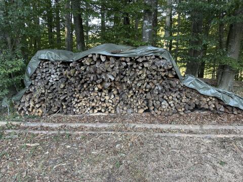 Scheitholz hart Buche/Eiche