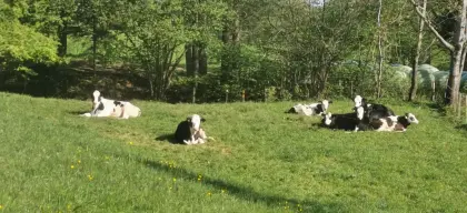 Pachtflächen gesucht