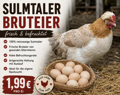 Sulmtaler Bruteier