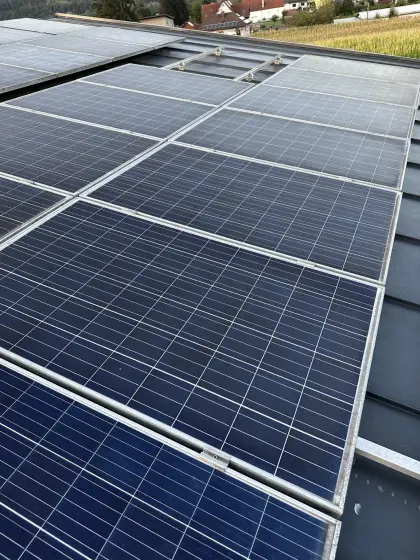 Photovoltaikmodule Trina Solar 250 W gebraucht TSM-250PC05A