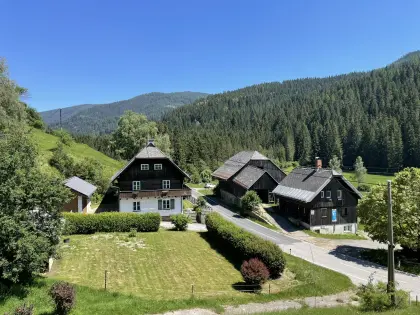 Land, und Forstwirtschaft mit Wohnhaus und 22,3 ha in Arriach