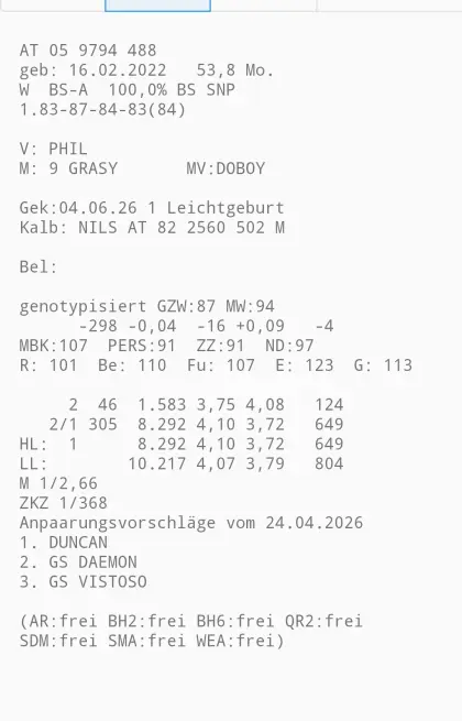 Verkaufe BS-Kuh wegen Überzahl