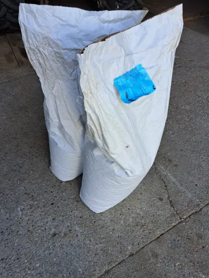 Blatterbse, Zwischenfruchtsaatgut BIO, 2 Säcke mit je 25 kg.