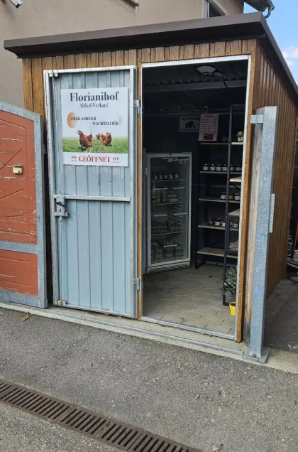 Holz, Wachtelprodukte, Zwiebeln, Hühnereier, Honig