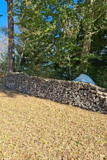 Brennholz Buche