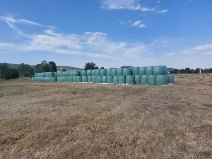 Verkaufe Mais-Silageballen, Raum Herzogenburg