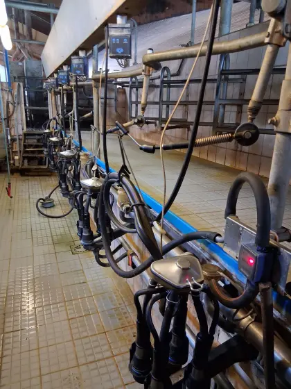Melkstand DeLaval Stalleinrichtung