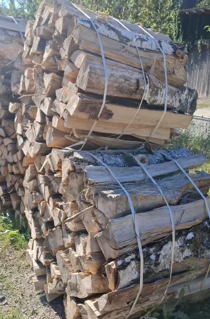 Trockenes Birkenholz