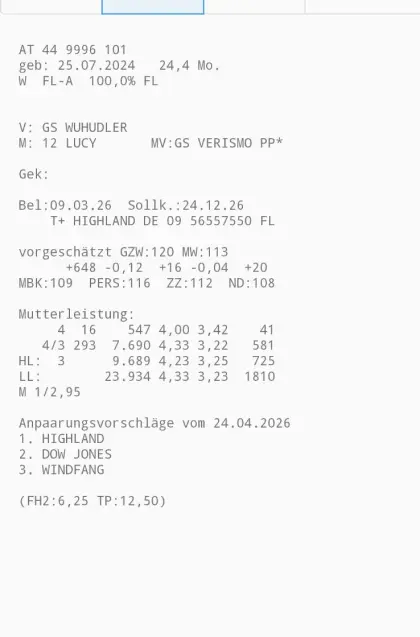 Trächtige Bio-Kalbinnen abzugeben