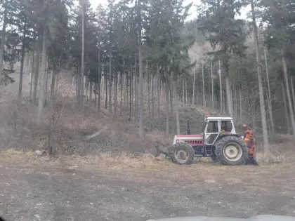Holzschlägerung und Bringung