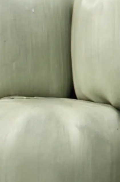Maissilageballen