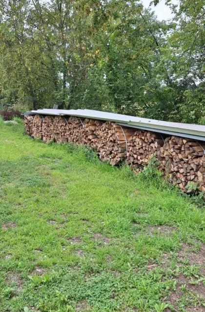 Brennholz Esche