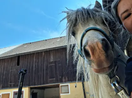 Shetty-Hengst Cokki