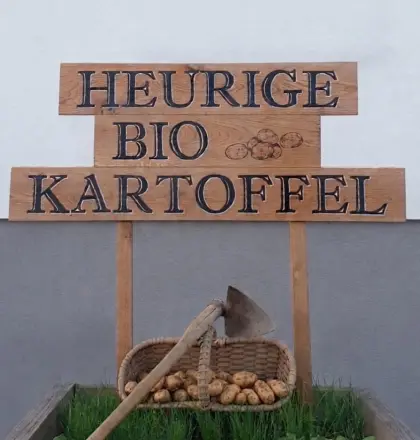 Bio-Kartoffeln, Erdäpfel