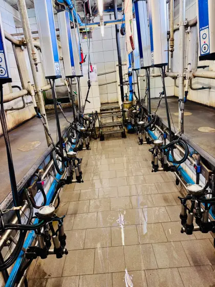 Melkstand Delaval GA MP 400 FGM/Par