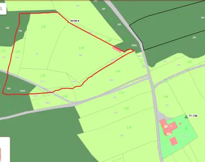 19.948 m² landwirtschaftliche Fläche, Wald in Lafnitz