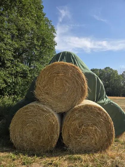 Stroh-Rundballen