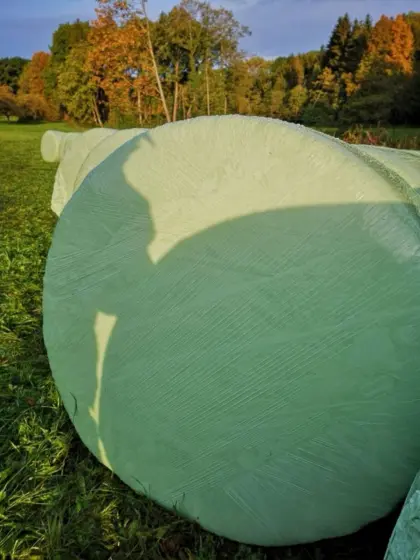 Maisballen, Silomaisballen, Ballensilage, Rundballen