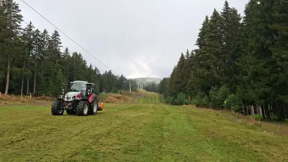 Mulcharbeiten