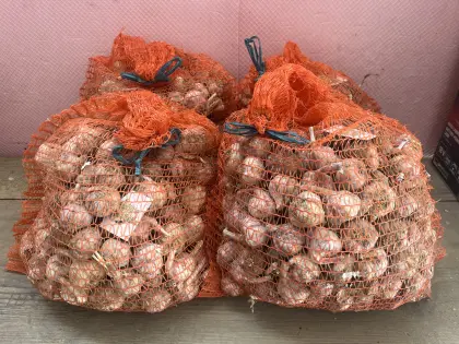 Knoblauch 30–40 mm