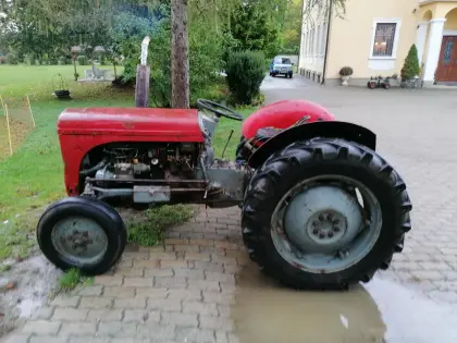 Oldtimer Massey Ferguson TEF 20, Bj. 1956