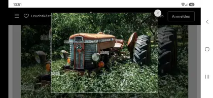 Motorhaube Massey Ferguson 65X