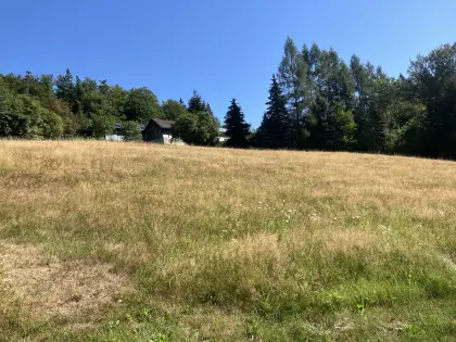 Wiesenfläche zu vergeben