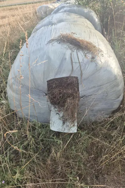 Bio-Silageballen