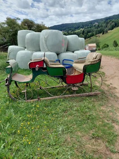 Pferdeschlitten
