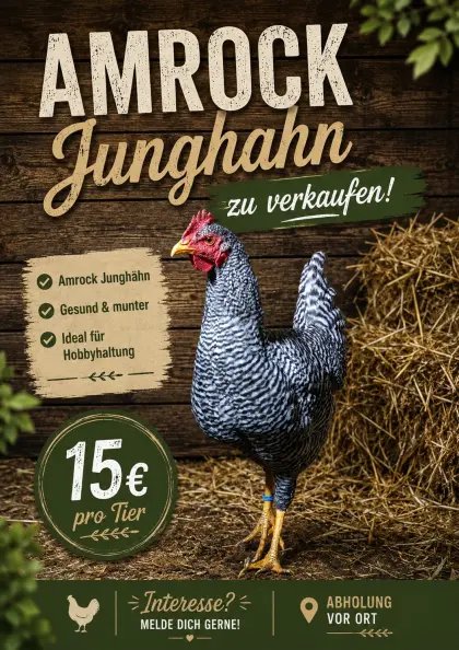 Amrock Hähne