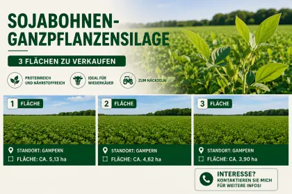 Sojabohnen-Ganzpflanzensilage