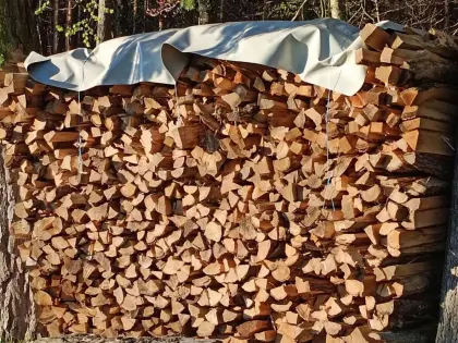 Brennholz