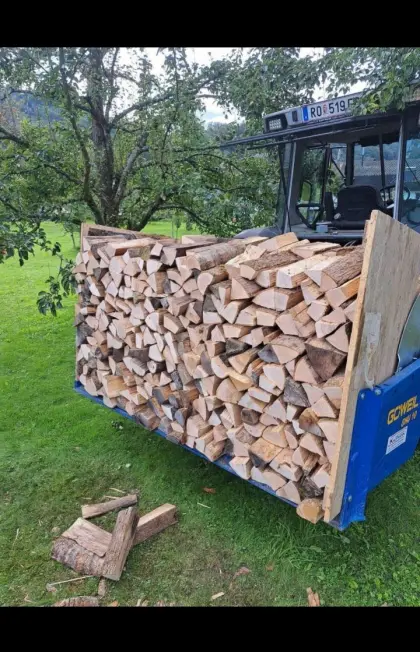 Brennholz, hart