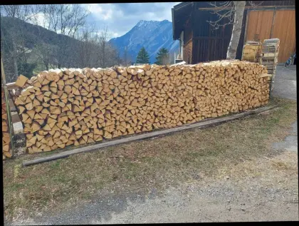 Brennholz, 30 cm, 50 cm