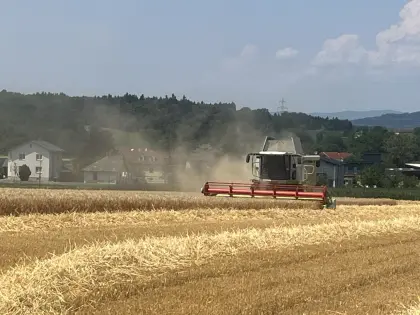 Verkaufe Stroh