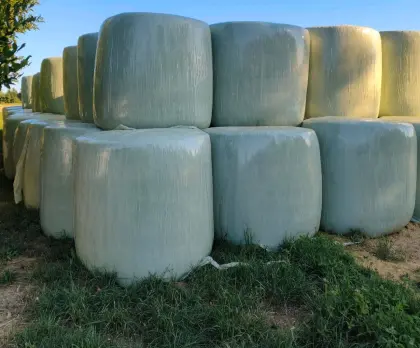 Maissilageballen, Maissilage