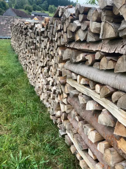 Buchenbrennholz