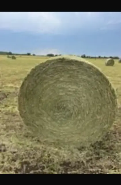 Rundballen, Heu 2. Schnitt 2026, 140 cm