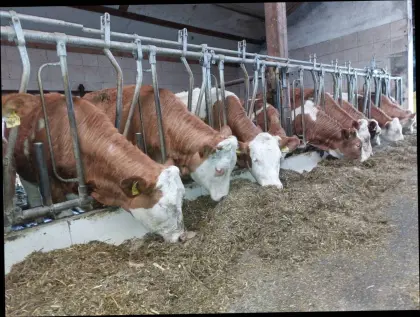 Bio FV Fresser, Absetzer