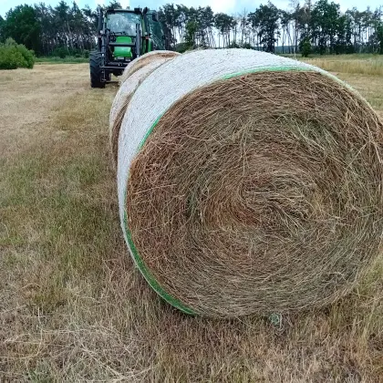 Pferdeheu, Heuballen