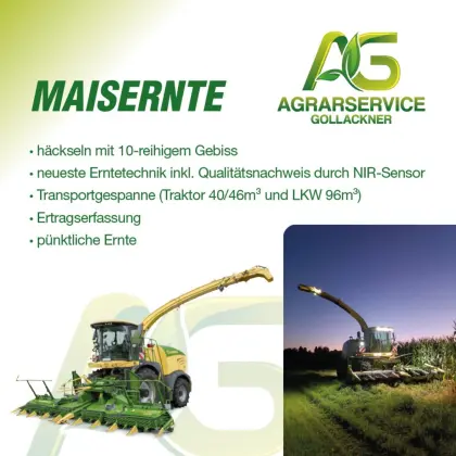 Maisernte