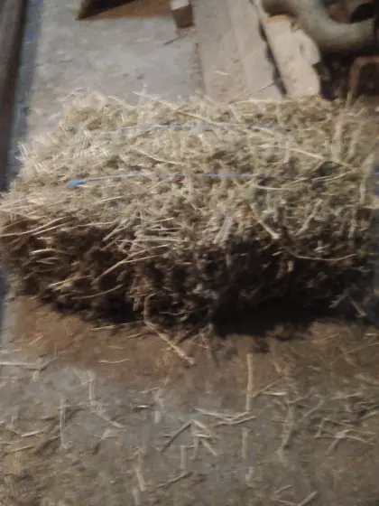 Bio-Kleeballen