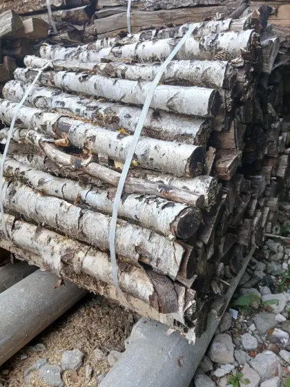 Holzbündel, Birke