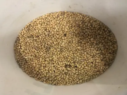 BIO-Futtersoja