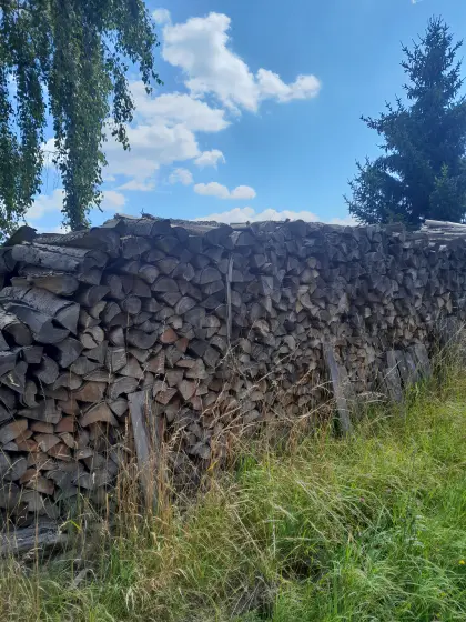 Brennholz