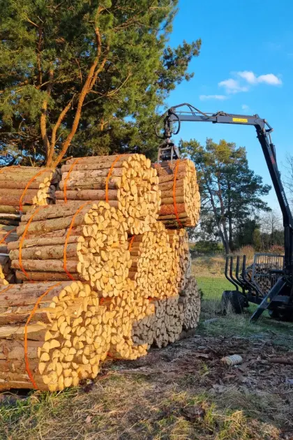 Ofenfertiges Brennholz
