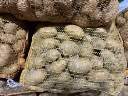 Bio-Kartoffeln