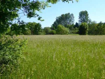 Suche Wiesen, Felder zum Mähen