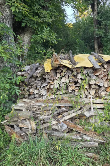 Brennholz 1 m
